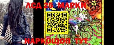 гашик Новокубанск