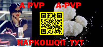 шишки Новодвинск