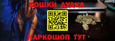 шишки Новодвинск
