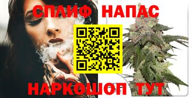 шишки Новодвинск